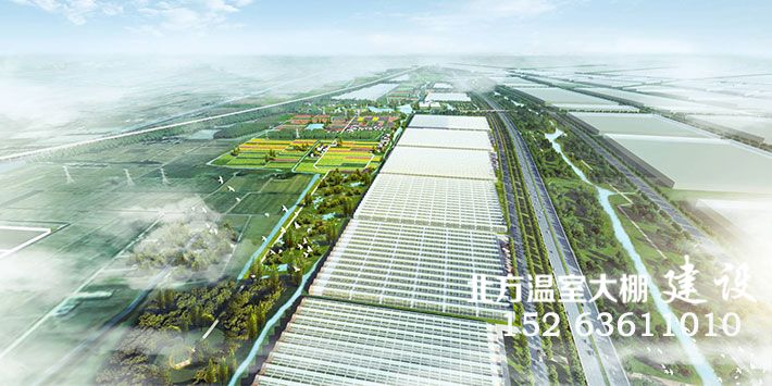 农业发达国家，常见大型温室，农业产业化生产。