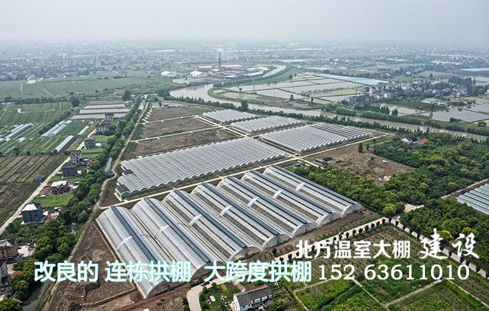 连栋拱棚 大跨度单体拱棚