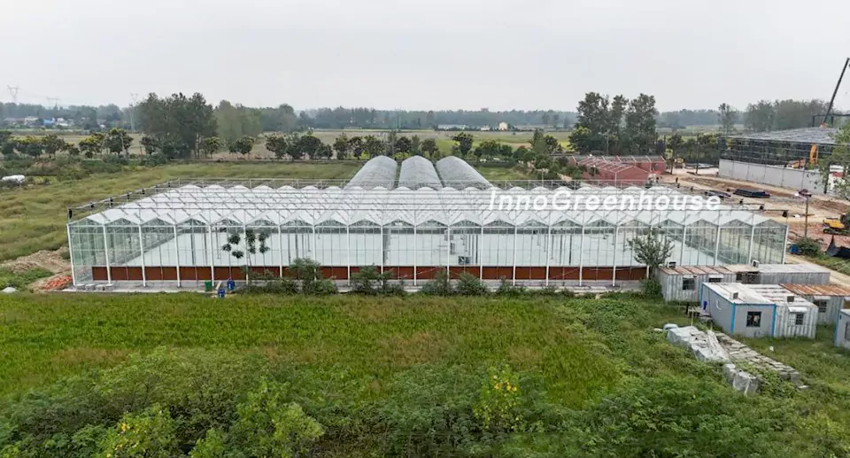 Overall view of the connected glass greenhouse