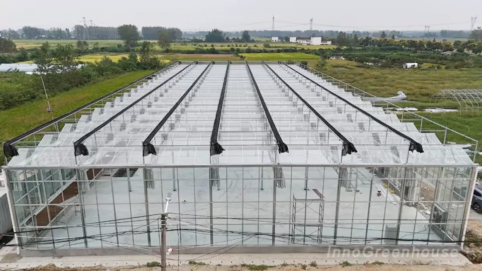 Side view of the connected glass greenhouse