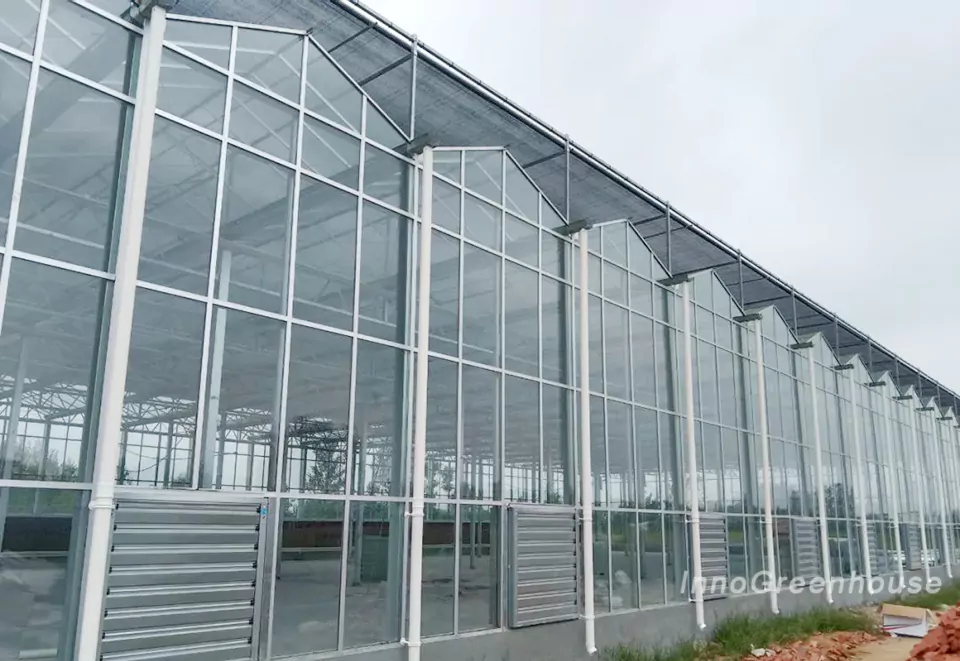 Connected glass greenhouse