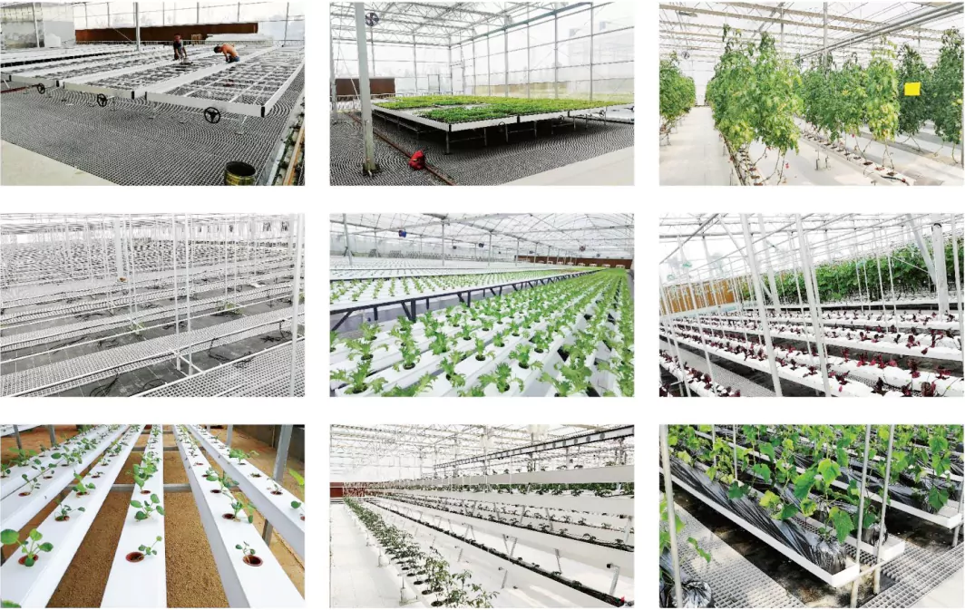 Various new soilless cultivation facility cases for greenhouses 1