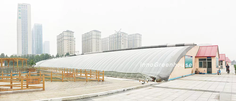 Single-Slope Solar Greenhouse