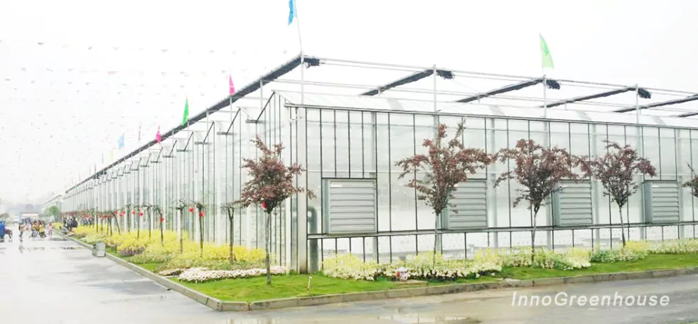 Glass Greenhouses 1