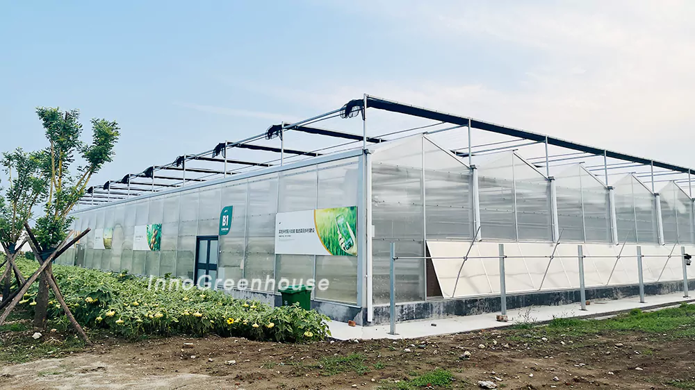 Multi-Span Polycarbonate Greenhouses