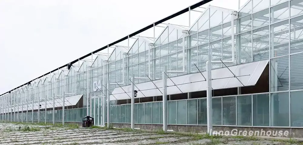 Glass Greenhouses 2
