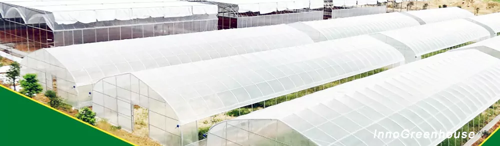  Single-Span Plastic Film Greenhouse