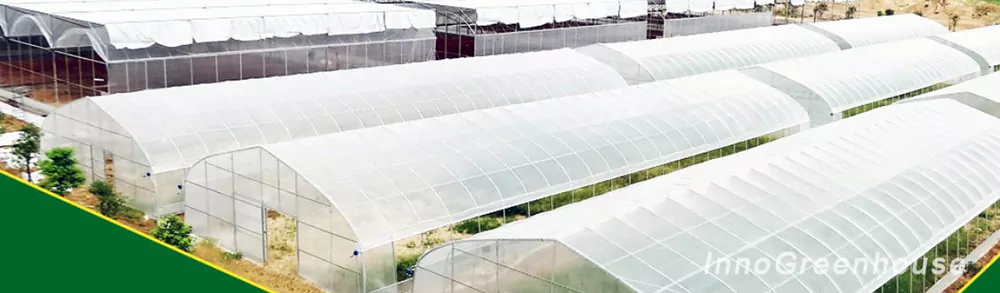 Arched Plastic Film Solar Greenhouse