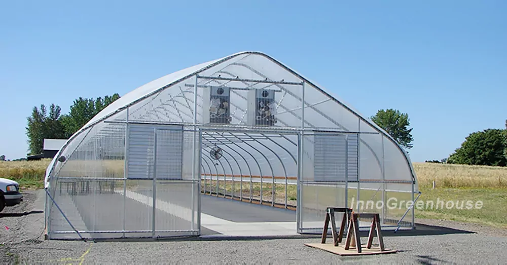 Arched Plastic Film Solar Greenhouse