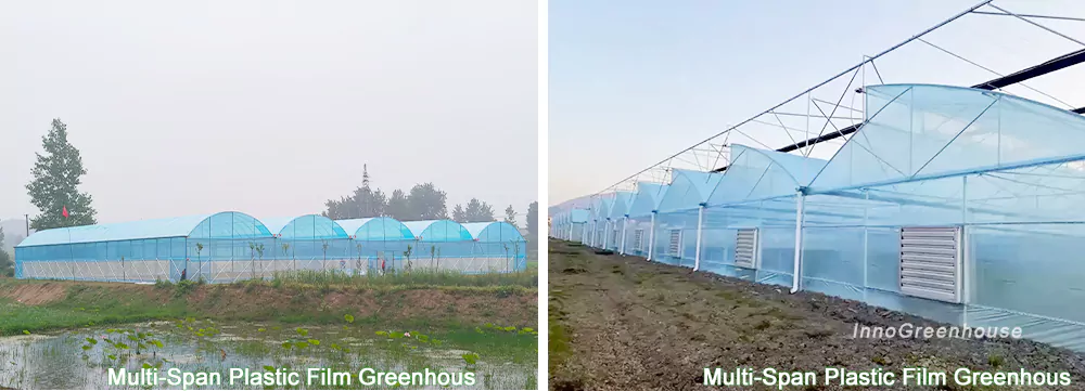 我们建设的各种不同结构的塑料薄膜温室2
