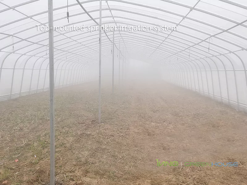 The internal structure of the greenhouse
