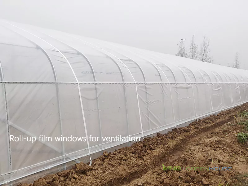The side of the greenhouse