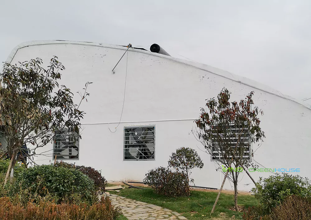 Greenhouse end face - equipped with a special greenhouse fan