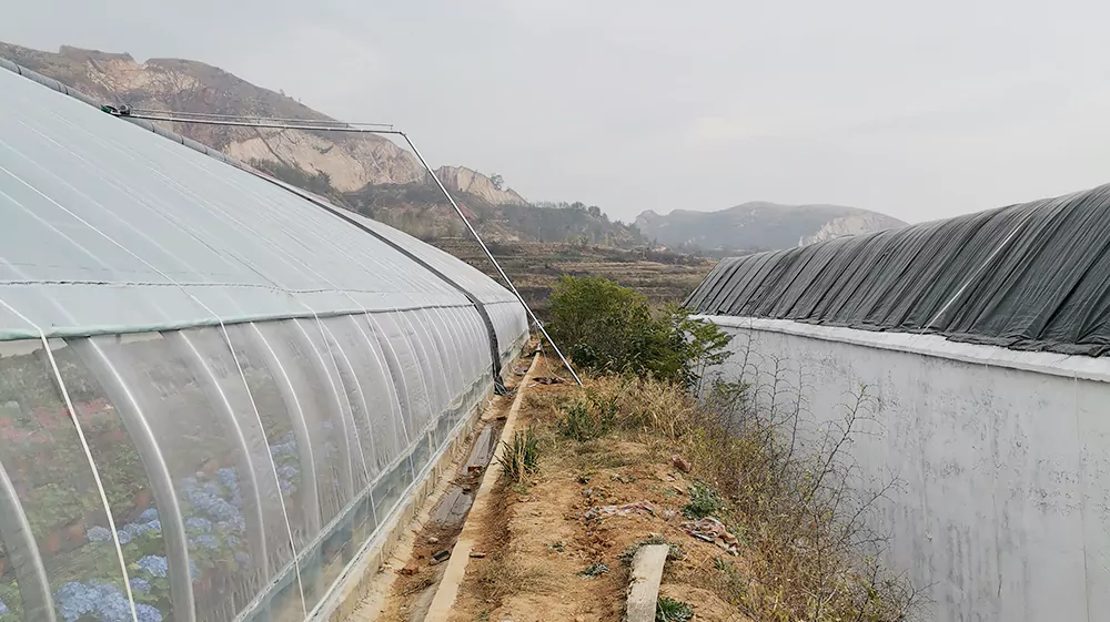 External structure of the greenhouse