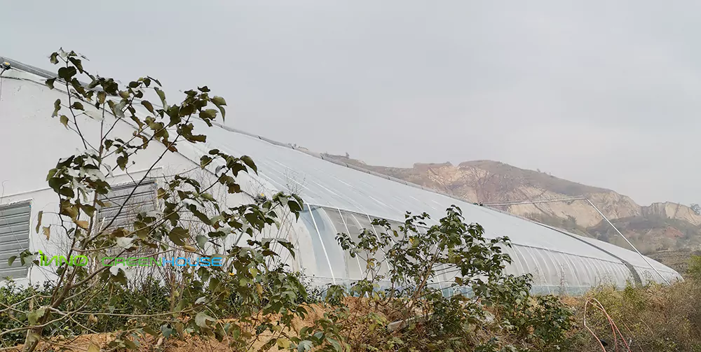 Front side of the greenhouse