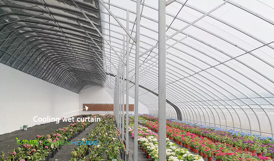 Internal structure of the greenhouse