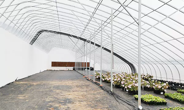 Energy-Efficient Plastic Solar Greenhouse（for Cold Winters）Completed