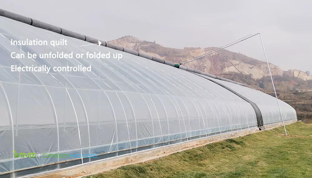 Outside the energy-saving plastic solar greenhous