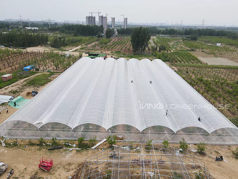 multi-span plastic film greenhouse construction site