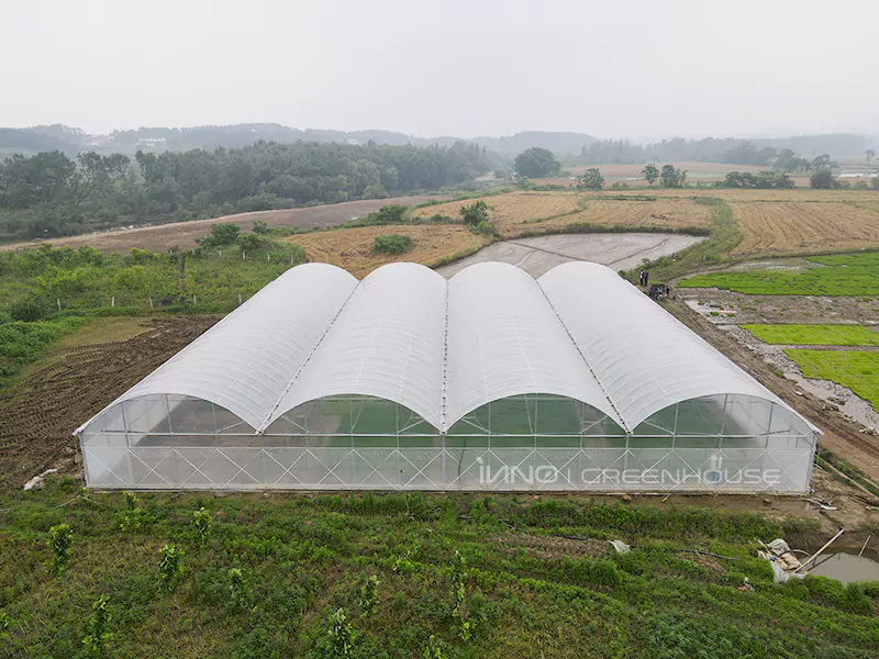 Front view of the greenhouse