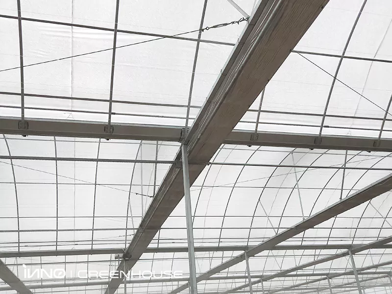 Internal skeleton structure of the greenhouse
