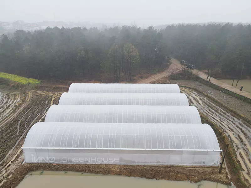 Side view of the greenhouse