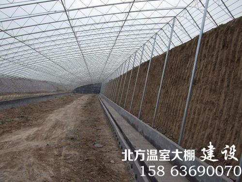 寿光式蔬菜大棚造价