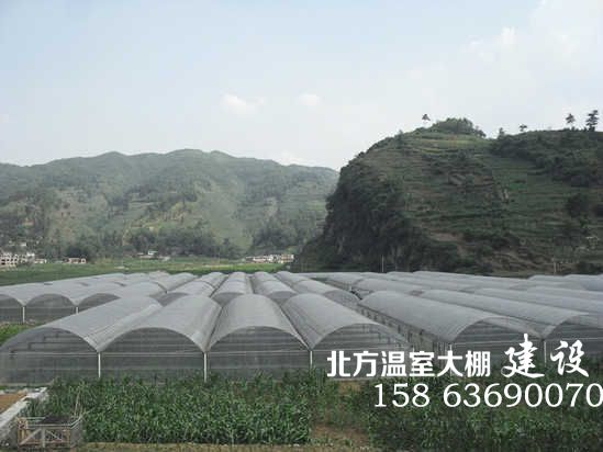 山区的简易蔬菜大棚