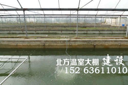 水产养殖温室