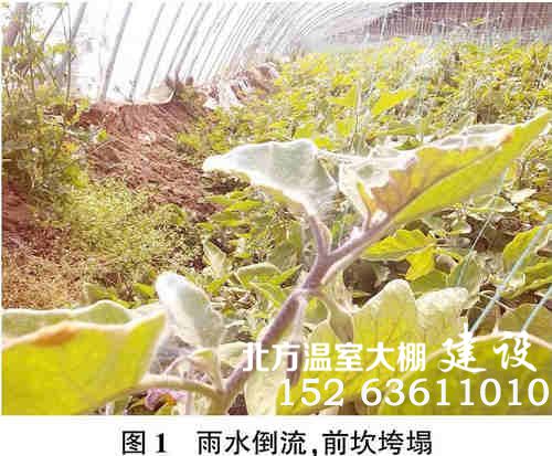 日光温室问题