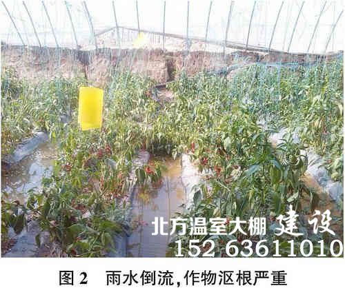 日光温室问题
