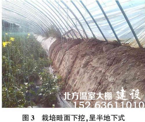 日光温室存在问题