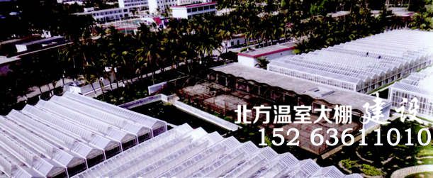 海南连栋温室
