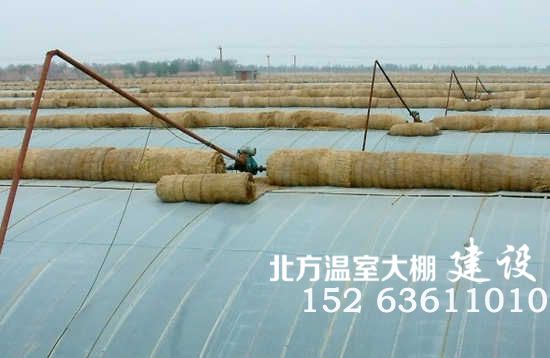 应用卷帘机的日光温室蔬菜大棚