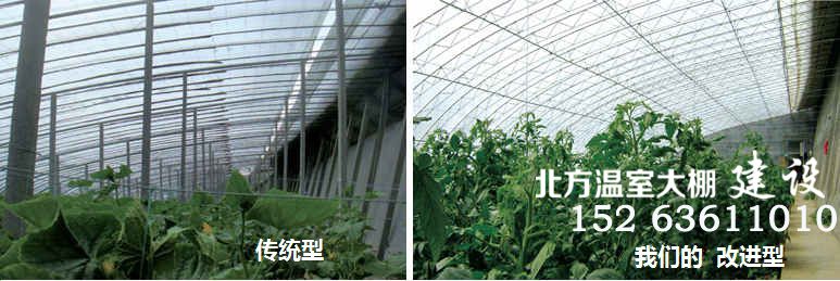 寿光日光温室大棚