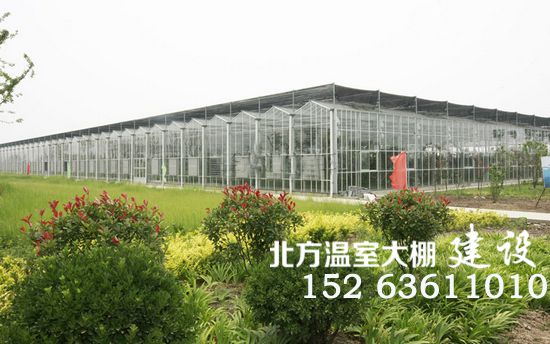 连栋玻璃智能温室