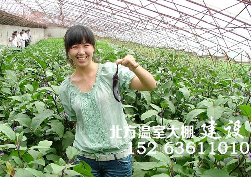 蔬菜大棚