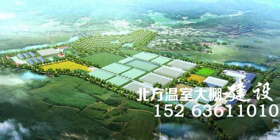蔬菜大棚生产基地的规划