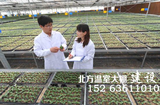 寿光蔬菜高科技示范园智能温室