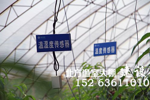 温室大棚内的智能温湿度传感器