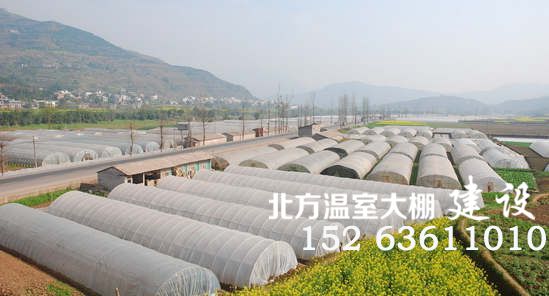塑料蔬菜大棚