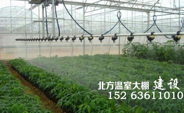 智能温室内的行走式自动喷灌机(悬挂式)