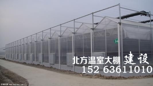 PC阳光板连栋温室大棚