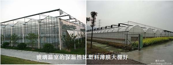 玻璃温室与塑料大棚保温对比