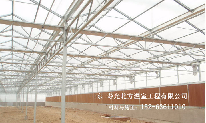 连栋阳光板温室