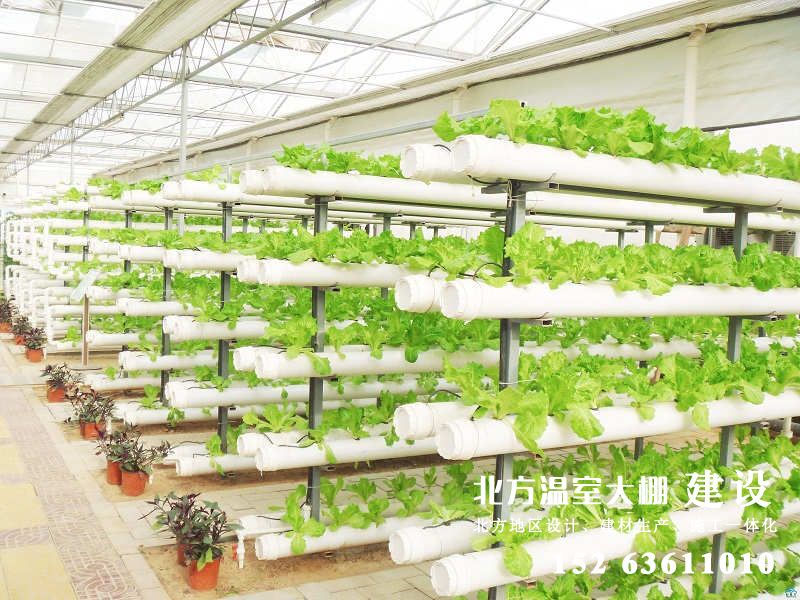 新型温室无土栽培-科技栽培施工