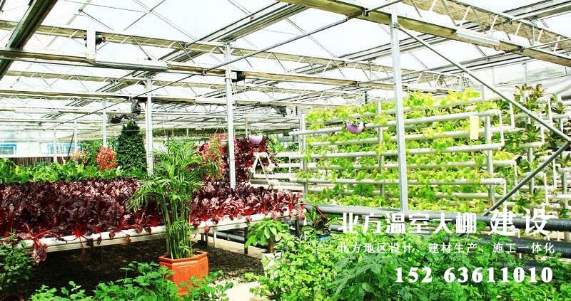 新型温室高科技栽培