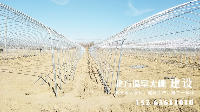整齐划一,美观大方的新型钢架拱棚