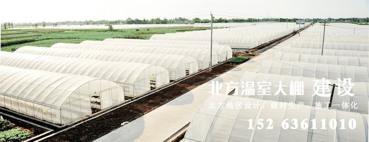 新型-全钢架塑料薄膜拱棚