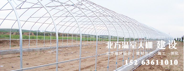 单体塑料薄膜拱棚